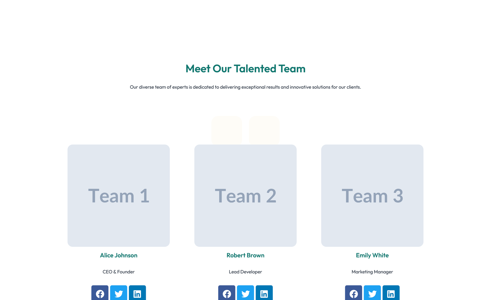 Team with 2-column Team Cards 17 - Elementor component