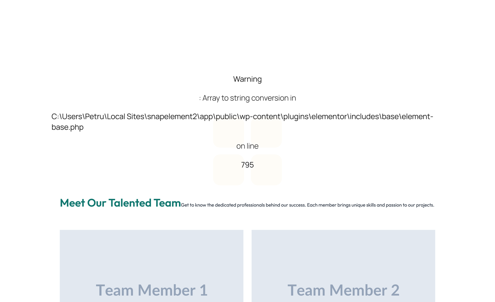 Team with 2-column Team Cards 30 - Elementor component