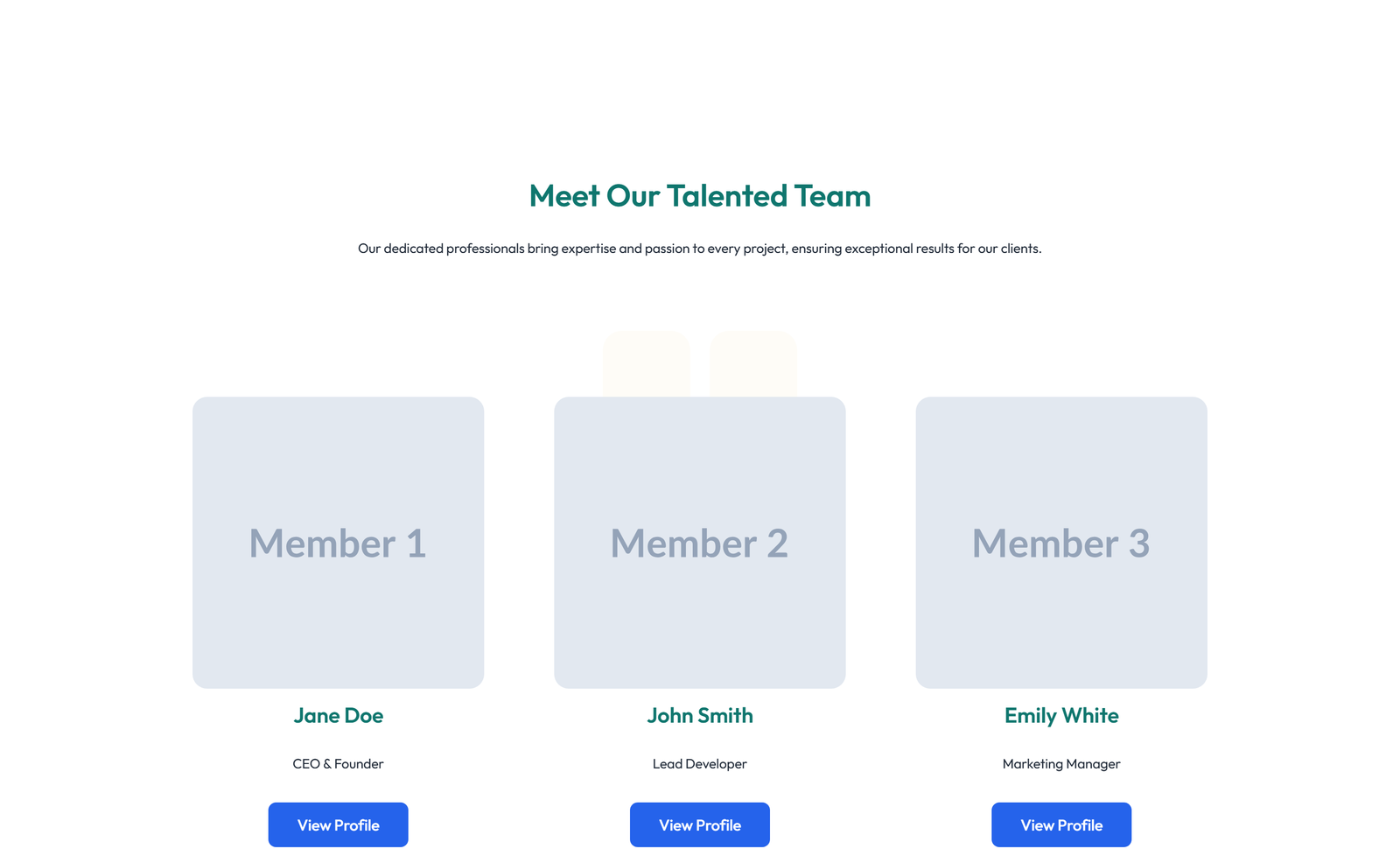 Team with 2-column Team Cards 55 - Elementor component